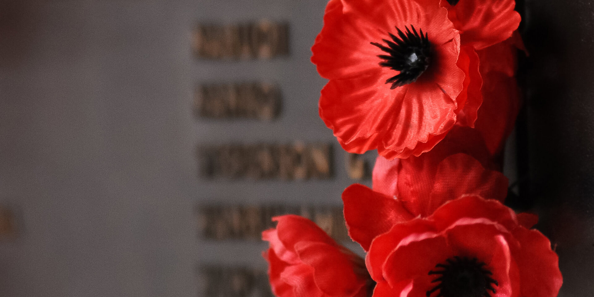 2 Days Gallipoli & Troy Tour | ANZAC Battlefields & Ancient Troy